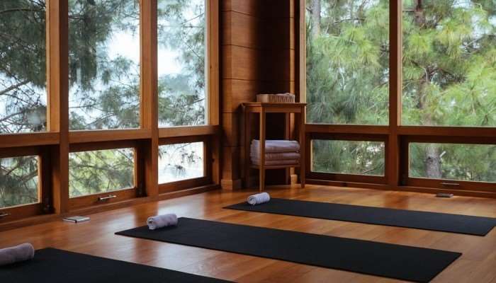 Dhensa Resort Punakha Servizi foto